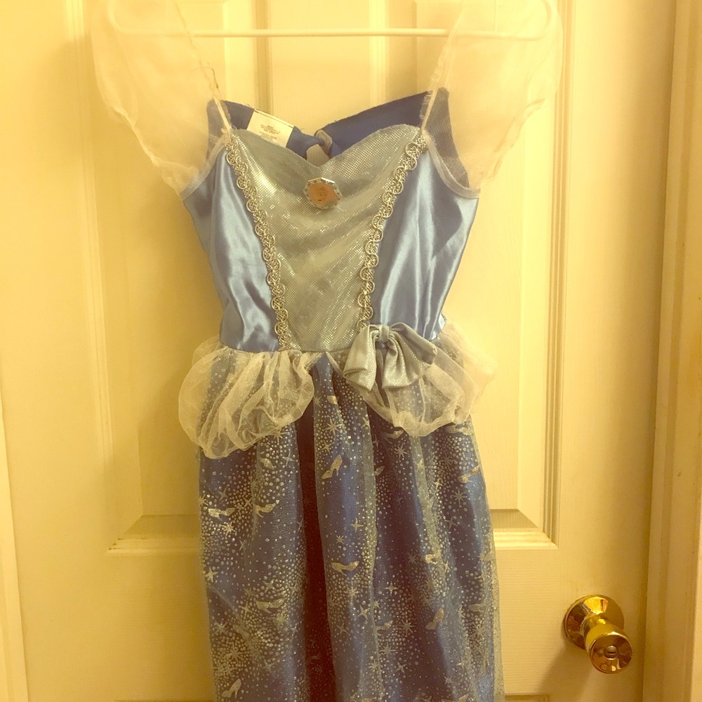 Cinderella Princess costume
